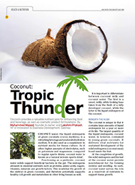 coconut-tropic-thunder